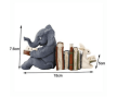 Elephant And Rabbit Reading Resin Craft Ornament