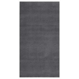 Shaggy Rug Anthracite 4'x6' Polyester