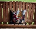 Boston Terrier and Santa Claus Throw Pillow Machine Washable, Indoor Outdoor Decorative Pillow for Couch, Bed or Patio, 14Hx14W