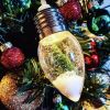 1pc Christmas Tree String Lights; Snow Globe Light; Indoor And Outdoor Decoration Goods